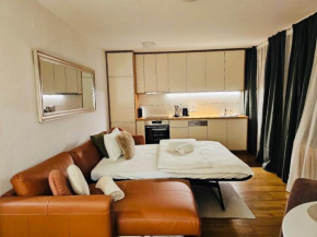 Your Second Home in the Alps Kaprun